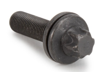 Болт Шестерні валу 1.2, ( M10X100 L35)