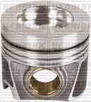 Поршень с кольцами и пальцем (размер отв. 81.01/std) audi, vw, skoda (cnha-cnhc-czja-deta-detb-ddaa-dfca-ddaa)