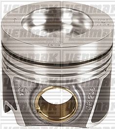 Поршень с кольцами і пальцем (размер отв. 81.01 / std) audi, vw, skoda (cnha-cnhc-czja-deta-detb-ddaa-dfca-ddaa) Поршень с кольцами і пальцем (размер отв. 81.01 / std) audi, vw, skoda (cnha-cnhc-czja-deta-detb-ddaa-dfca-ddaa)