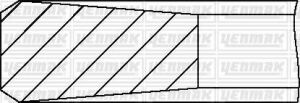 Комплект поршневих кілець (73,70/std) (2,5/1,95/2,5) citroen с1/с2/с3/nemo 1,4hdi 03-