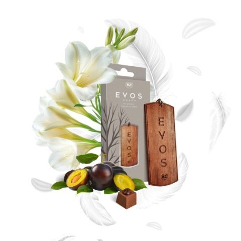 Освежитель воздуха салона K2 EVOS GRACE ANGEL 4г Освежитель воздуха салона K2 EVOS GRACE ANGEL 4г