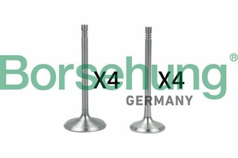 Клапан (впуск/выпуск) VW Caddy III/Golf/Passat 1.6 04-15 (к-кт 8шт.) (OE VAG) Клапан (впуск/выпуск) VW Caddy III/Golf/Passat 1.6 04-15 (к-кт 8шт.) (OE VAG)