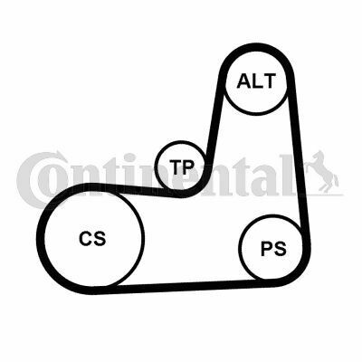 Комплект ременя генератора Renault Clio/Megane/Scenic/Nissan Almera/Micra/Kubistar 1.5 dCi 03-