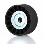 Ролик ремня генератора (направ.) Transit 2.4/3.2 TDСi 06-