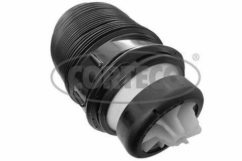 Подушка пневмопідвіски (ззаду) (R) MB E-class (S212) 09-16