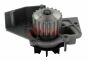 Помпа води Citroen C4/C5/C8/Jumpy/Jumper/Berlingo 2.0HDi/Fiat Scudo/Ducato 1.9D/2.0JTD 98- (20z), фото 1 - інтерент-магазин Auto-Mechanic