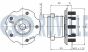 RUVILLE NISSAN К-кт подшипника ступицы Qashqai, X-Trail 2.0/2.5 07-, фото 2 - интернет-магазин Auto-Mechanic