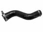 Патрубок інтеркулера Renault Kangoo 1.5dCi 08-, фото 8 - інтерент-магазин Auto-Mechanic