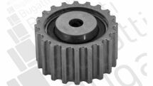 Ролик направляючий ГРМ Kangoo/Megane 1.9 D/dCi 96- (зубч. d=59.3mm)