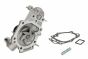 Водяний насос 1.2 Renault Kangoo + Nissan Kubistar 97->08, фото 1 - интернет-магазин Auto-Mechanic