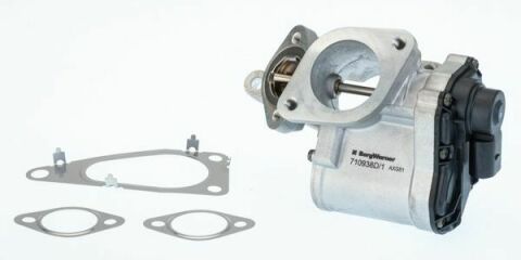 Клапан EGR Renault Megane II/Laguna II/Scenic II 1.9dCi 03-