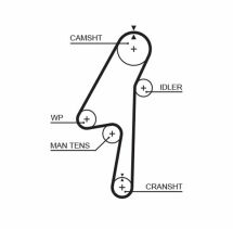 Ремень ГРМ Ремень ГРМ
