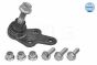 Опора шаровая (передняя/снизу) Ford Focus II 1.4-2.0TDCi 04-12/C-Max 07-10/Volvo C30/C70/S40 04-, фото 11 - интернет-магазин Auto-Mechanic