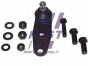 Кульова опора RENAULT Kangoo 97-07, Clio II 98-05, Clio I 90-98, Megane 96-03, Symbol 08-12, Symbol 98-08, 19 88-00; NISSAN Kubistar 03-08, фото 1 - інтерент-магазин Auto-Mechanic