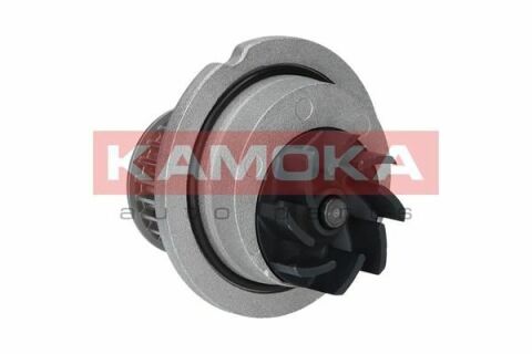 Водяний насос (помпа) Водяний насос (помпа)