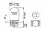 Автолампа W21/5W 12V 21/5W W3x16q Eco (без цоколя), фото 8 - інтерент-магазин Auto-Mechanic