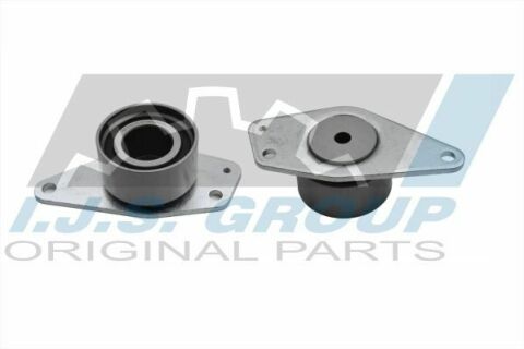 Ролик ГРМ Renault Kangoo 1.9dCi 01- (паразитный) (65х42.1)