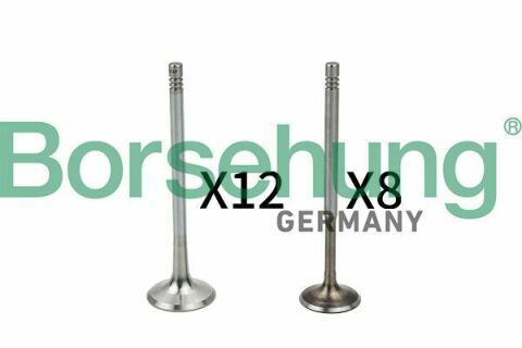 Клапан (впуск/выпуск) Audi A4/A6/Skoda Octavia/Superb/VW Golf/Passat 1.8-3.0 -10 (к-кт) (OE VAG)