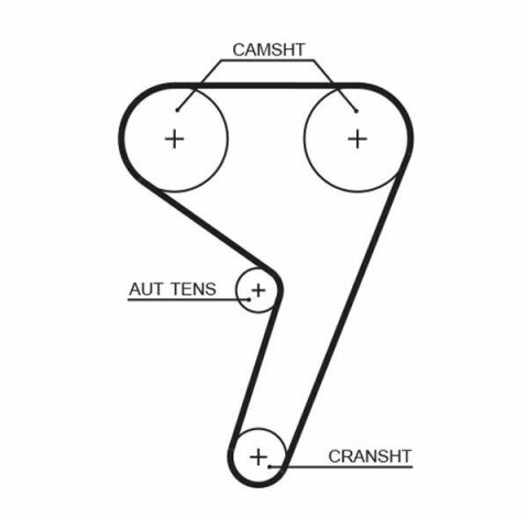 Комплект ГРМ Mazda 2/Ford Fiesta/Focus/Volvo S40/V50 1.25i-1.6 16V 95- (22x117z)