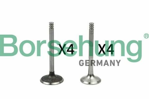 Клапан (впуск/выпуск) VW Caddy 1.6TDI/2.0TDI 03- (к-кт 8шт.) (OE VAG)