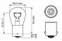 Автолампа P21W 12V 21W BA15s Eco, фото 6 - интернет-магазин Auto-Mechanic