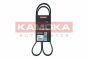 Клиновый ремень 5PK1210 Kia Picanto II/Rio III 11-17 /Opel Astra G 00-09/Combo 01-11, фото 1 - интернет-магазин Auto-Mechanic