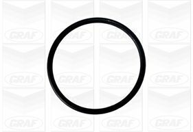 Помпа води Skoda Fabia/VW Polo/Seat Cordoba 1.9SDI 09- (19z) (R/B)(7 лоп)(h шківа=33.5mm/d імп=60mm) Помпа води Skoda Fabia/VW Polo/Seat Cordoba 1.9SDI 09- (19z) (R/B)(7 лоп)(h шківа=33.5mm/d імп=60mm)