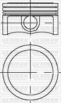 Поршень с кольцами і пальцем OPEL INSIGNIA 1.6T (размер отв. 79 / STD) (A16LET, Z16LEL,A16LEL,Z16ER,A16LER) Поршень с кольцами і пальцем OPEL INSIGNIA 1.6T (размер отв. 79 / STD) (A16LET, Z16LEL,A16LEL,Z16ER,A16LER)
