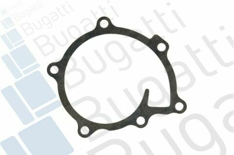 Помпа води Citroen C4/Peugeot 4008 1.8HDi 12-/Mitsubishi Lancer 1.8DI-D/Outlander 2.2DI-D(B/B)(8лопатей)