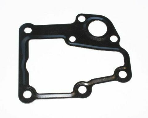 Прокладка термостату Citroen C4/C5/Peugeot 307/308/407 04-