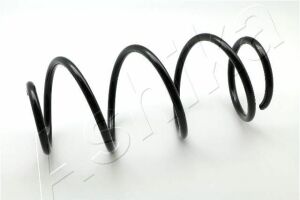 Пружина передня Clio/Modus 04-