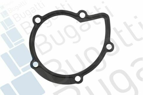 Насос воды Citroen C4-C8/Jumpy 2.0-2.2HDi/Fiat Scudo 2.0D/Ford Focus 2.0TDCI 01- (B/B)(8лоп)