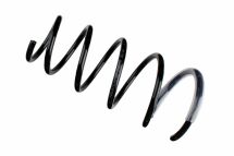 Пружина підвіски Пружина підвіски