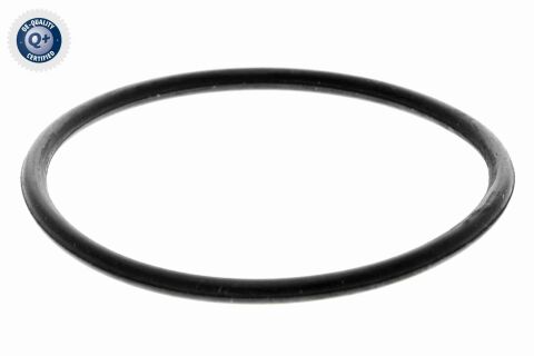 Оливний фільтр