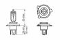 Мотолампа ECO HS1 12V 35/35W, фото 6 - интернет-магазин Auto-Mechanic