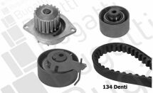 Комплект ГРМ (насос+рем.+2шт.ролика) Berlingo 1.6, Peugeot 307 1.6 Citroen