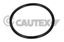 Ущільнення, корпус дросельної заслінки Ущільнення, корпус дросельної заслінки