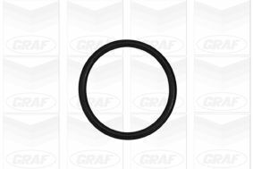 Помпа води Mini Cooper S/Works 1.6 02-07 (B/B) (6 лоп) (з корпусом) Помпа води Mini Cooper S/Works 1.6 02-07 (B/B) (6 лоп) (з корпусом)