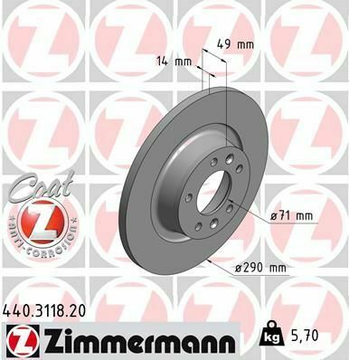 Диск тормозной (задний) Citroen Jumpy/Fiat Scudo 07-(290х14) (с покрытием) (полный)