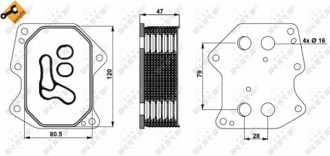 Радиатор масляный Citroen Jumper/Fiat Ducato/Peugeot Boxer 2.2HDi 06- (теплообменник)