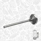 Выпускной клапан Выпускной клапан