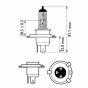 Лампа H4 WhiteVision ultra +60% (4200K) 12V 60/55W P43t-38 SP 2 pc., фото 3 - интернет-магазин Auto-Mechanic