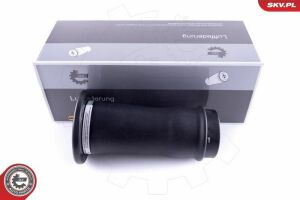 Пневморесора, ходова частина