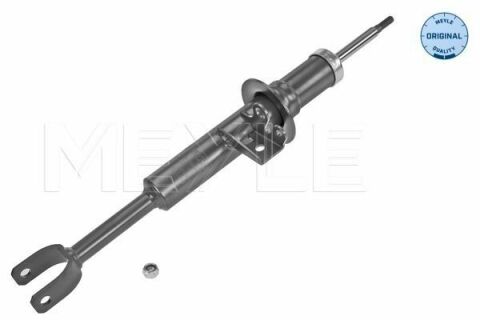 Амортизатор (передний) BMW 5 (F10/F11) 10-(R)