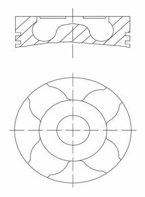 Поршень Berlingo/Partner 1.6HDI 75.0mm 64.8mm