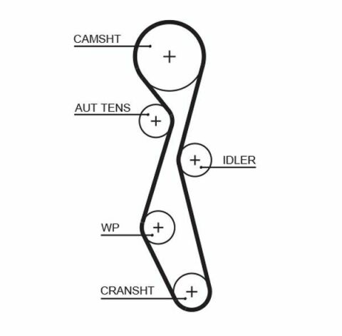 Комплект ГРМ + насос Citroen C5/C6/C8/Peugeot 407/508/607 2.2HDI 06- (25.4x118z)