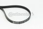 Ремінь генератора Volvo S40/S60/S80/V40/V60/V70/XC60/XC70 00- (5PK1121), фото 1 - интернет-магазин Auto-Mechanic