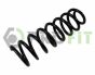 Пружины подвески, фото 1 - интернет-магазин Auto-Mechanic
