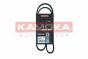 Клиновый ремень 4PK970 BMW 3 (E46)/Kia Rio 00-05/ Mitsubishi Pajero Sport 3.0 98-, фото 1 - интернет-магазин Auto-Mechanic