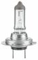 HELLA H18 12V 65W Лампа розжарювання (цоколь PY26d-1) STANDARD, фото 2 - інтерент-магазин Auto-Mechanic
